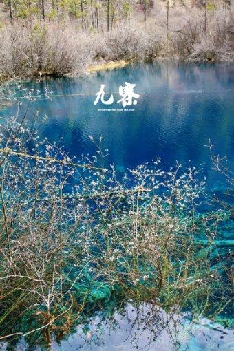 陈牧驰最新机场照,裹得好严实,又被大帅哥的眼神锁定了!